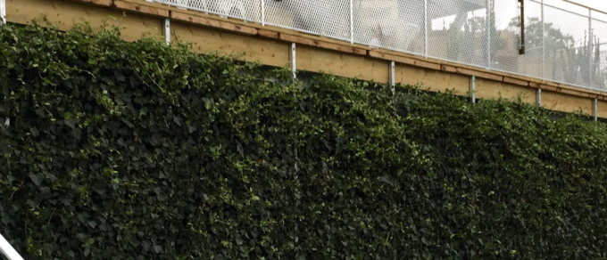 AuburnGolfHeader
