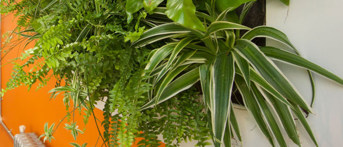 Planteriaheader2