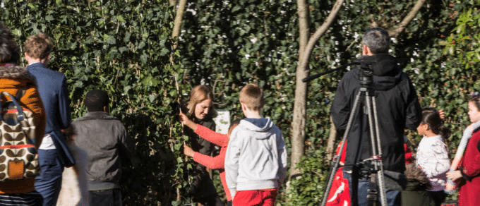GooseGreenHeader