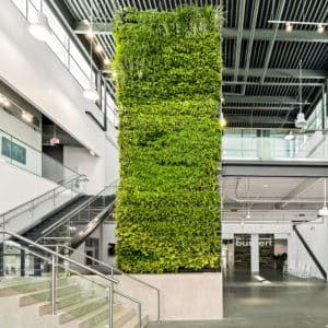 Livepanel_Burket_SuitePlants_USA_02