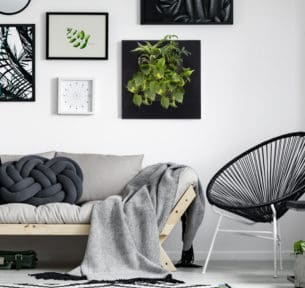 LivePicture GO_BLACK_Student Room_HR