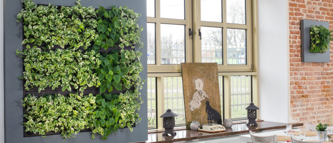 Culinairy Solutions