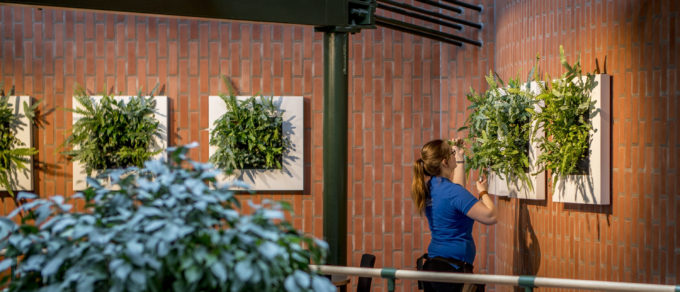 Universiteit Halmstad