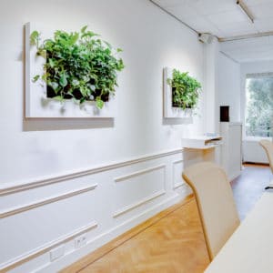 RSM Utrecht