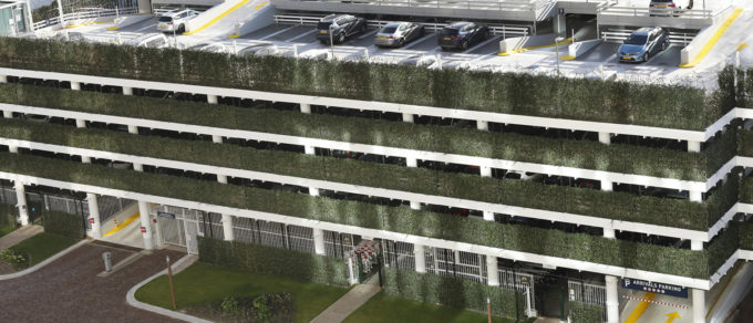 pfirst wallplanter