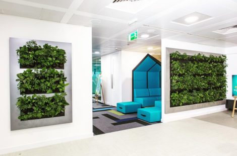 Embracing A Host Of Green Options For Divine Worke Mobilane Live Divider Gl Design E