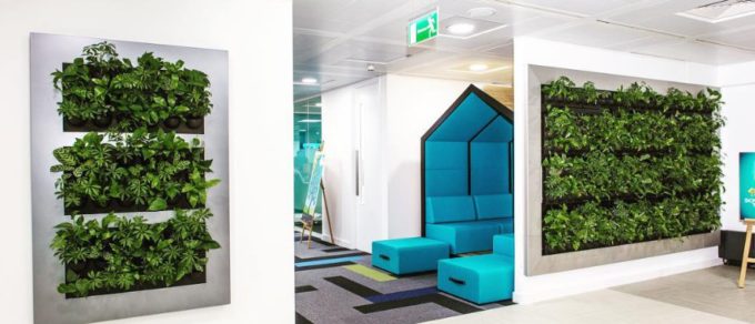 Live Divider GL Design Space