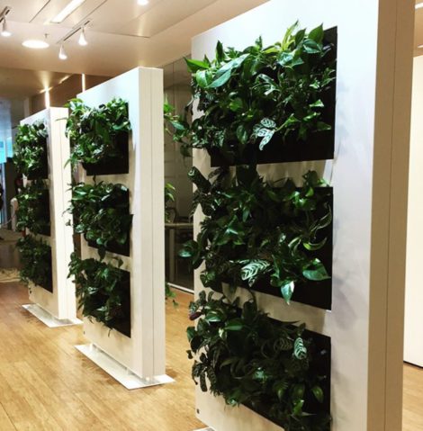 Embracing A Host Of Green Options For Divine Worke Mobilane Live Divider Gl Design E 2