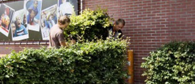 KKH_MacDonalds-Lemmer
