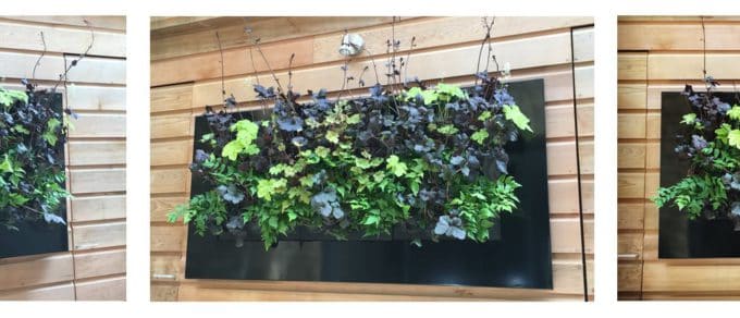ThePlantman-banner