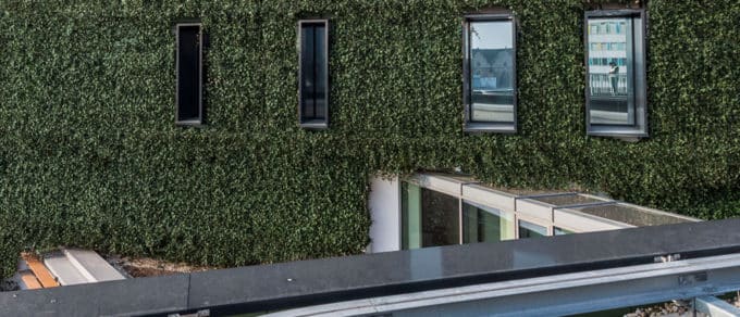 WallPlanter-Hasehaus_Osnabruck