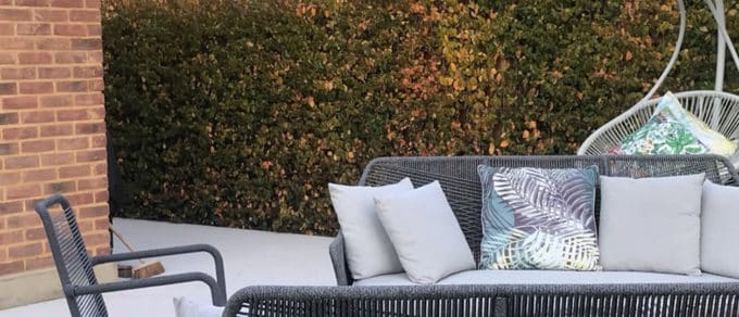 Euonymus Green Screen URG Header
