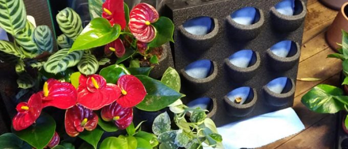 HeathlandHeader2