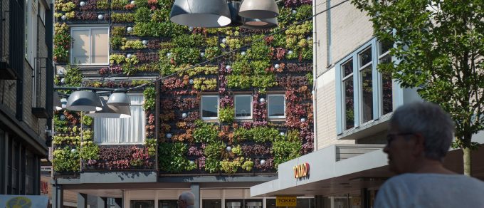 veghel-living-wall_3